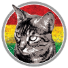 Reggae Cat