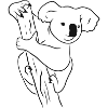 Koala bear