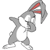 bunny