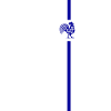 France France