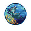 Turtle reef diver