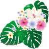 Hawai-Dreams