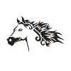 Horse - Pferd - Pferdeliebhaber