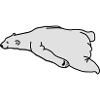 lazy_bear