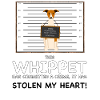 Whippet Mugshot