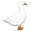 goose