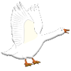 Goose is acidic
