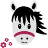 Horse / Pony