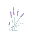 Lavendel Blumen Aquarell