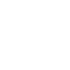 American Foxhound