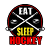 Ice hockey