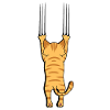 Cat with claws