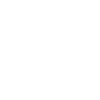 craftsman