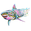 Shark