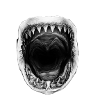 Requin
