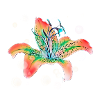 orchid