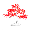 Bonsai one