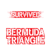 Bermuda Bermuda Triangle Mystery Hamilton