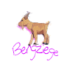 Bergziege