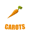 carrot