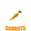 carrot
