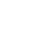 Long car
