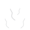 balloons