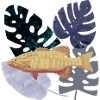 Tropics fish