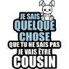 je vais être cousin