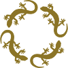 geckos circle