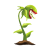 Carnivorous plant