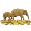 Mama und Baby Indischer Elefant
