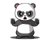 Panda– Pandabär – Mittelfinger -