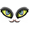 cat eyes
