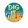 Dig it beach volleyball design