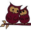 owls in love