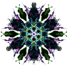 Purple Flower