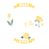 Groom sister wedding support