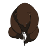 Riding Bear