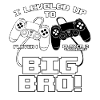 J'ai nivelé à Big Bro