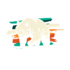Bear bears