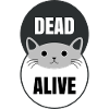 Cat schrödinger