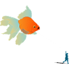 Flying fish