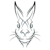 Lapin lapin lapin