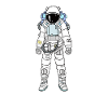 Astronaut cosmos