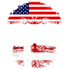 Amerikansk voksen med danske rødder