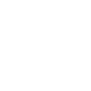 Scout