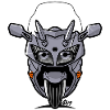 FJR silverstorm