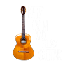 Chemise de guitare