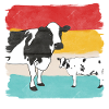 Vaches vaches